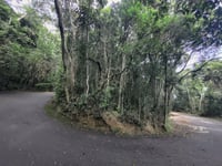 Alto do Sumaré from Santa Teresa