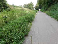 Am Alten Kaninsberg from Haaren