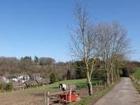 Am Brändchen von Zweifall