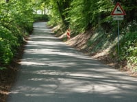 Am Elsenbusch von Süggerath