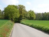 Am Elsenbusch von Süggerath