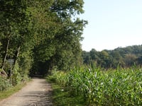 Am Euchener Bach von Am Kiesschacht