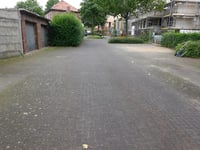 Am Ginsterbusch über Am Erbbusch