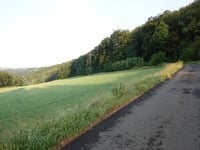 Am Hamm desde Im Orketal