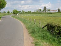 Am Hohem Berg von Büllingen