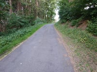 Am Hügel von Neuastenberg