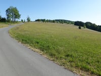 Am Köpfchen