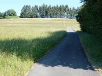 Am Köpfchen
