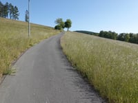 Am Köpfchen