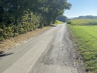 Am Lärchenhang von Dratum