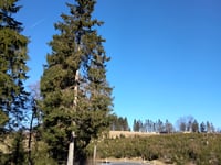 Am Sahnehang da Westfeld