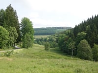 Am Waltenberg über In der Büre