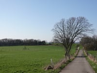 Am Weiherchen via Leuwstrasse