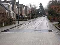 Amerongse Berg from Amerongen