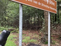 Amerongse Berg