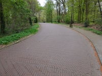 Belgenlaan por Prins Willem-Alexanderlaan