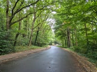 Amersfoortse Berg via Surinamelaan