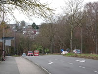 Amsterdamer Ring von Johannisbach