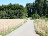 An der Bach