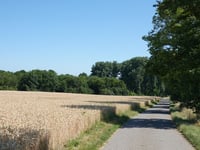 An der Bach
