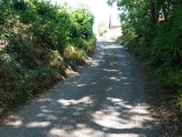 An der Eiche