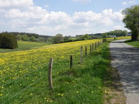 An der Janskaul da Brûckberg
