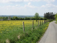 An der Janskaul da Brûckberg