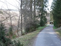 Ancien Chemin de Malmedy à Eupen from Pont de Baileu