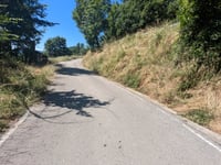 Antist z La Plana de Mont-Ros