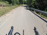Antist z La Plana de Mont-Ros