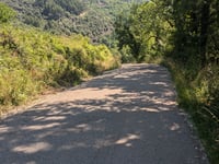 Antist z La Plana de Mont-Ros