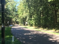 Berg en Bos depuis Apenheul