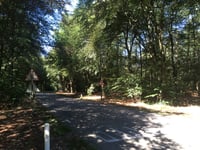 Berg en Bos depuis Apenheul