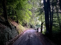 Apiyaute vanuit Le Petit Bornand les Glières