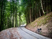 Apiyaute vanuit Le Petit Bornand les Glières