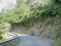 Ara