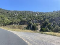 Arboussols