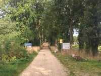Arckelaan z Hoenderloo