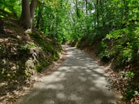 Arenborgdelweg von Venlo