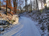 Arenborgdelweg von Venlo