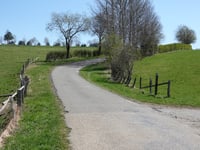 Arenbüschel