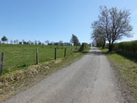 Arenbüschel