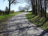 Arenbüschel