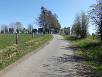 Arenbüschel
