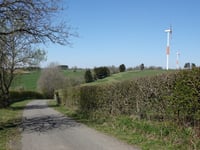 Arenbüschel