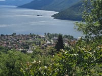 Alpe di Neggia from Maccagno