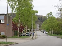 Dennenweg über Moslaan