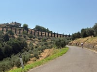 Artimino via Via Arrendevole
