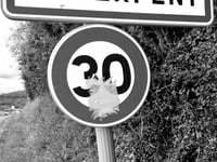 La Serpent von Montazels