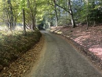Ashfield Barn Lane